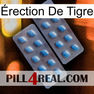 Érection De Tigre viagra4